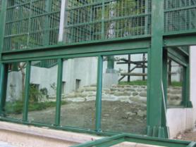 高雄市壽山動物園猴園