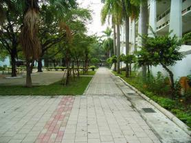 鼎金國民中學「校區排水系統暨中庭綠化工程