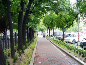 前金國小通學道空間改善案