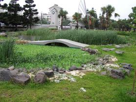 小港高中生態池