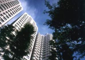 太子建設「太子龍」